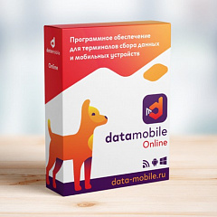 DataMobile, версия Online в Подольске